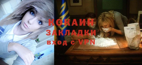 тгк Няндома
