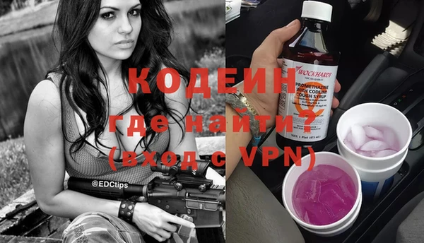 шишки Осинники