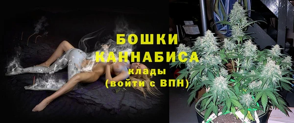 кокс Нягань