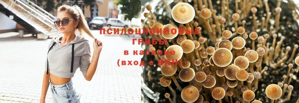 тгк Няндома